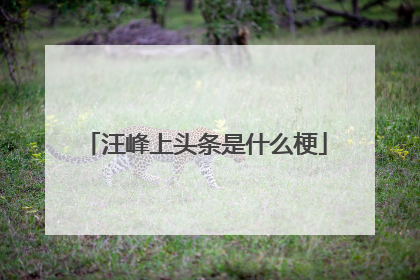 汪峰上头条是什么梗