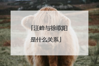 汪峰与徐歌阳是什么关系