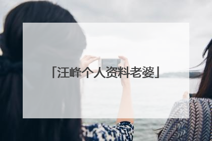 汪峰个人资料老婆