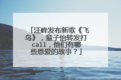 汪峰发布新歌《飞鸟》,章子怡转发打call,他们有哪些恩爱的故事?