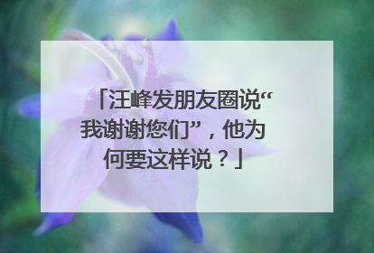 汪峰发朋友圈说“我谢谢您们”，他为何要这样说？