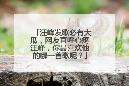 汪峰发歌必有大瓜，网友直呼心疼汪峰，你最喜欢他的哪一首歌呢？