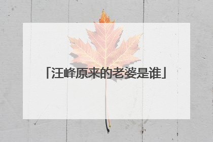 汪峰原来的老婆是谁