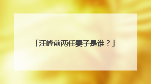 汪峰前两任妻子是谁?