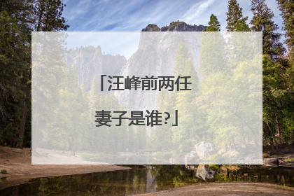 汪峰前两任妻子是谁?