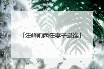 汪峰前两任妻子是谁