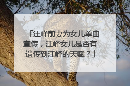 汪峰前妻为女儿单曲宣传,汪峰女儿是否有遗传到汪峰的天赋?