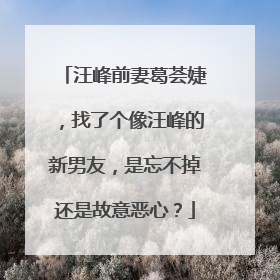 汪峰前妻葛荟婕，找了个像汪峰的新男友，是忘不掉还是故意恶心？