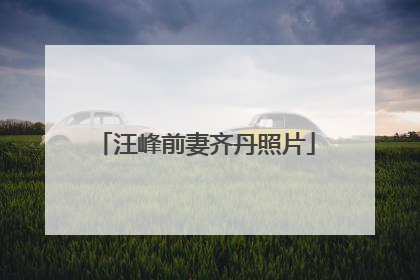 汪峰前妻齐丹照片