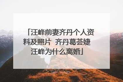 汪峰前妻齐丹个人资料及照片 齐丹葛荟婕汪峰为什么离婚