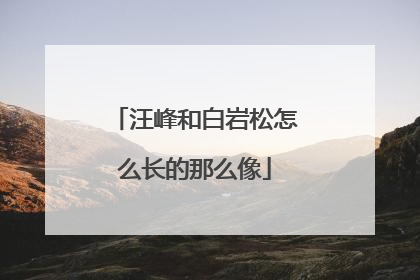 汪峰和白岩松怎么长的那么像