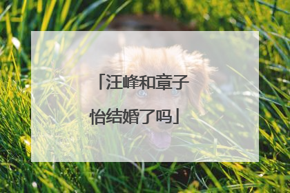 汪峰和章子怡结婚了吗