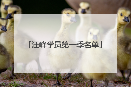 汪峰学员第一季名单