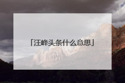 汪峰头条什么意思