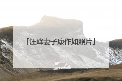 汪峰妻子康作如照片