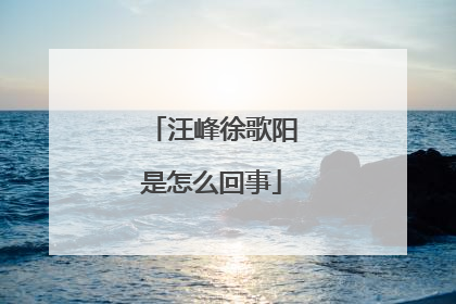 汪峰徐歌阳是怎么回事
