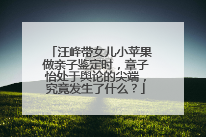 汪峰带女儿小苹果做亲子鉴定时，章子怡处于舆论的尖端，究竟发生了什么？