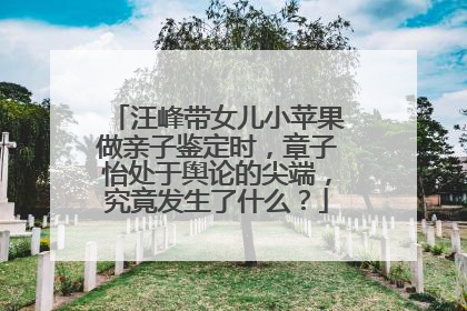 汪峰带女儿小苹果做亲子鉴定时，章子怡处于舆论的尖端，究竟发生了什么？