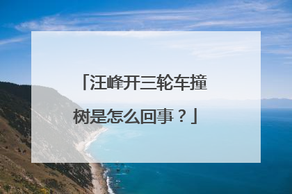 汪峰开三轮车撞树是怎么回事？