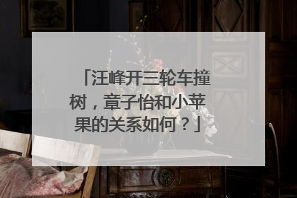 汪峰开三轮车撞树，章子怡和小苹果的关系如何？