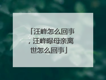 汪峰怎么回事，汪峰曝母亲离世怎么回事