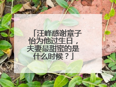 汪峰感谢章子怡为他过生日，夫妻最甜蜜的是什么时候？