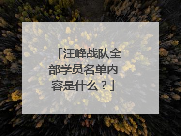 汪峰战队全部学员名单内容是什么？