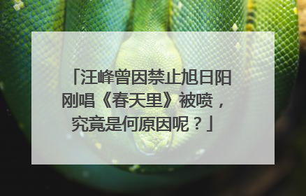 汪峰曾因禁止旭日阳刚唱《春天里》被喷，究竟是何原因呢？