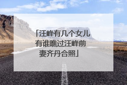 汪峰有几个女儿 有谁瞧过汪峰前妻齐丹合照