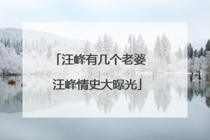 汪峰有几个老婆 汪峰情史大曝光