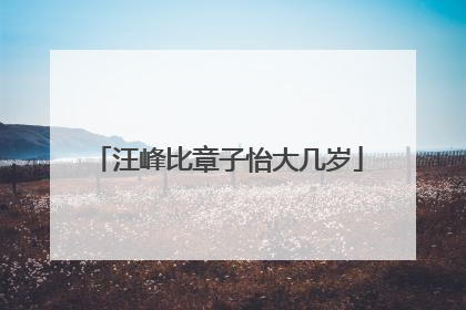 汪峰比章子怡大几岁