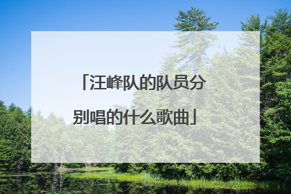 汪峰队的队员分别唱的什么歌曲