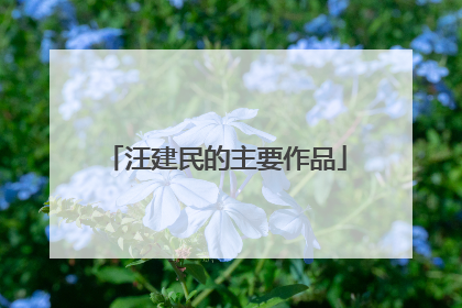 汪建民的主要作品