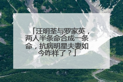 汪明荃与罗家英,两人半条命合成一条命,抗病明星夫妻如今咋样了?