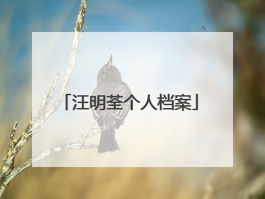 汪明荃个人档案