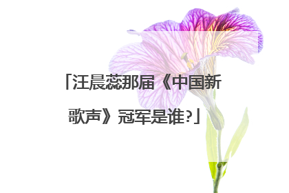 汪晨蕊那届《中国新歌声》冠军是谁?