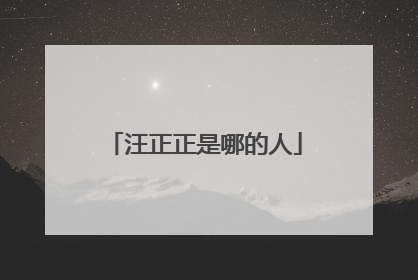 汪正正是哪的人