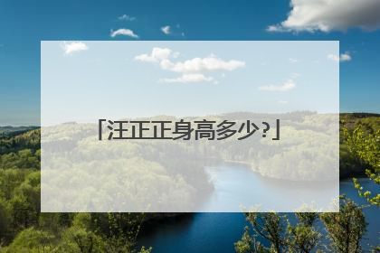 汪正正身高多少?