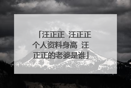 汪正正 汪正正个人资料身高 汪正正的老婆是谁