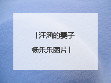 汪涵的妻子杨乐乐图片
