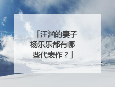 汪涵的妻子杨乐乐都有哪些代表作？