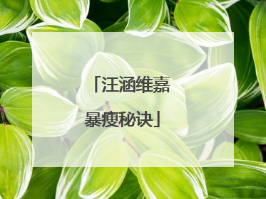 汪涵维嘉暴瘦秘诀