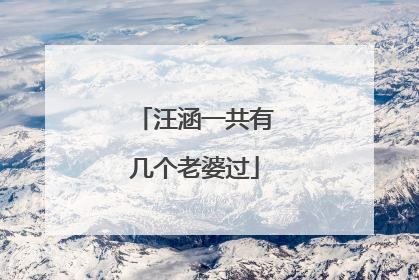 汪涵一共有几个老婆过