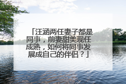 汪涵两任妻子都是同事，前妻甜美现任成熟，如何将同事发展成自己的伴侣？