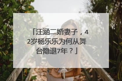 汪涵二婚妻子,42岁杨乐乐为何从舞台隐退7年?