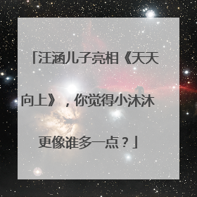汪涵儿子亮相《天天向上》,你觉得小沐沐更像谁多一点?