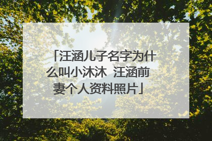 汪涵儿子名字为什么叫小沐沐 汪涵前妻个人资料照片