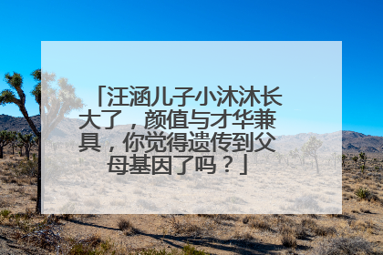 汪涵儿子小沐沐长大了，颜值与才华兼具，你觉得遗传到父母基因了吗？