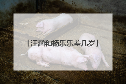 汪涵和杨乐乐差几岁