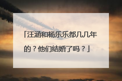 汪涵和杨乐乐都几几年的?他们结婚了吗?